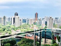 The Tate Residences (D9), Condominium #455047451